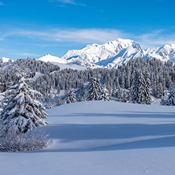 Contemplez le paysage ! Contemplez le paysage !