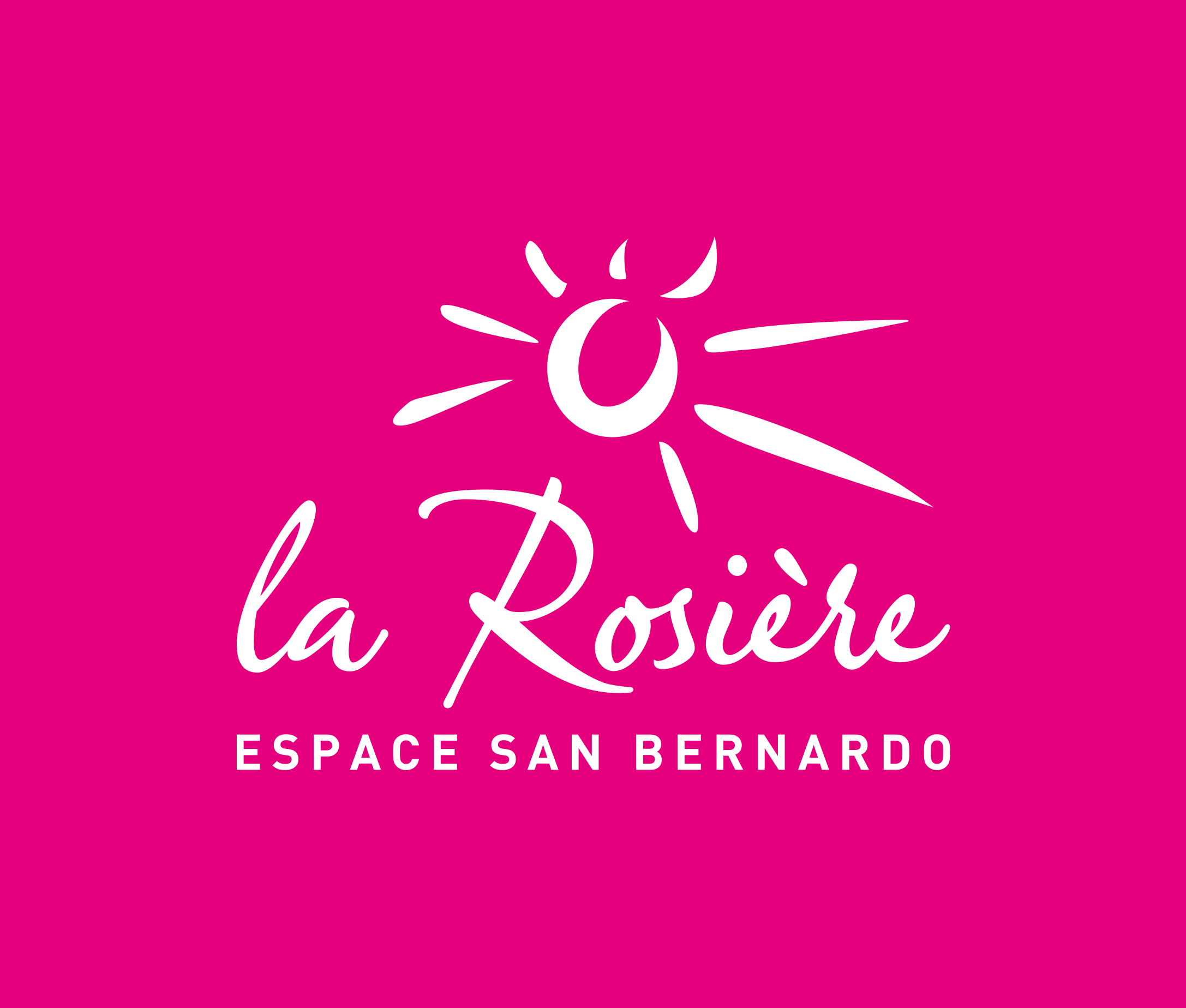 Resort La Rosière